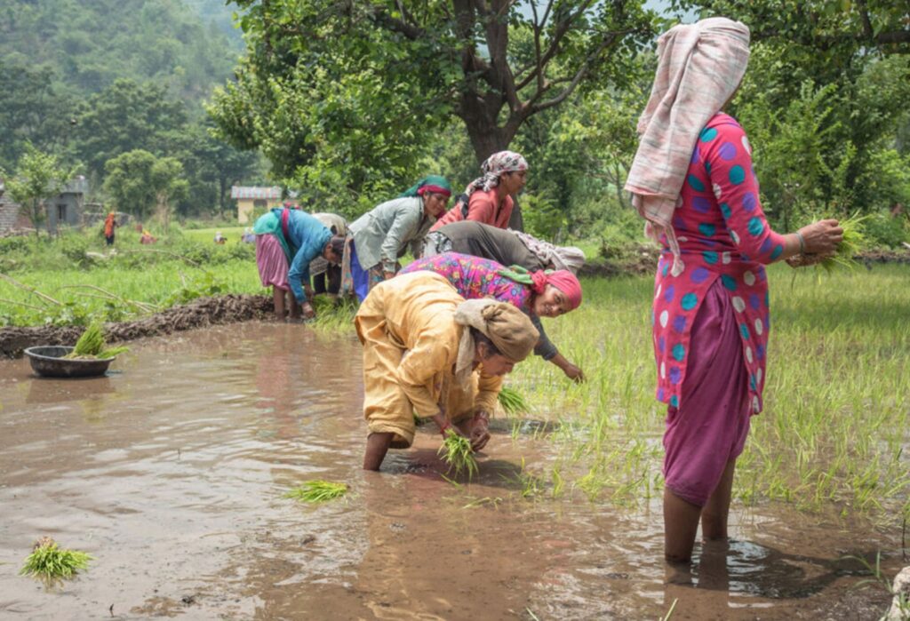 Gender-Norms-On-and-Off-the-Farm-img